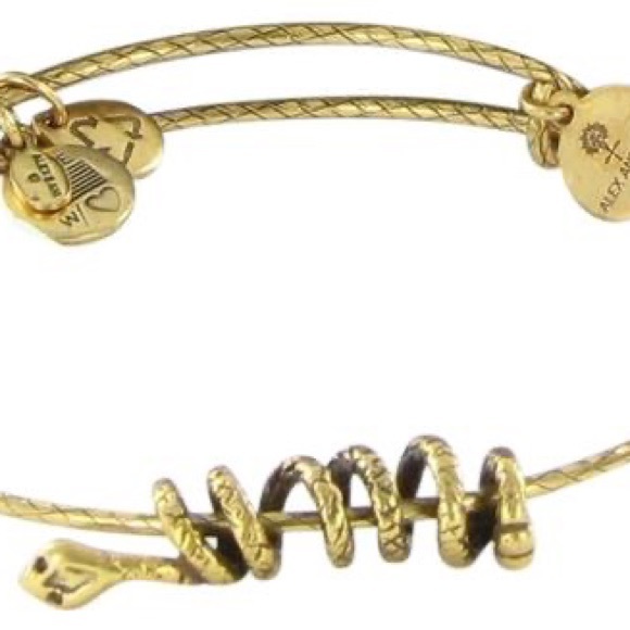 Alex and Ani Jewelry Alex And Ani Snake Bracelet Poshmark
